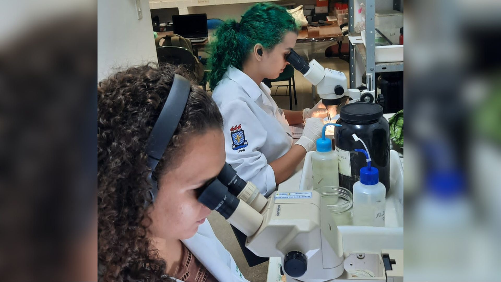 Pesquisa da UFPB é pioneira em levantamento de dados sobre a diversidade de parasitos de peixes no semiárido paraibano Pesquisa da UFPB é pioneira em levantamento de dados sobre a diversidade de parasitos de peixes no semiárido paraibano