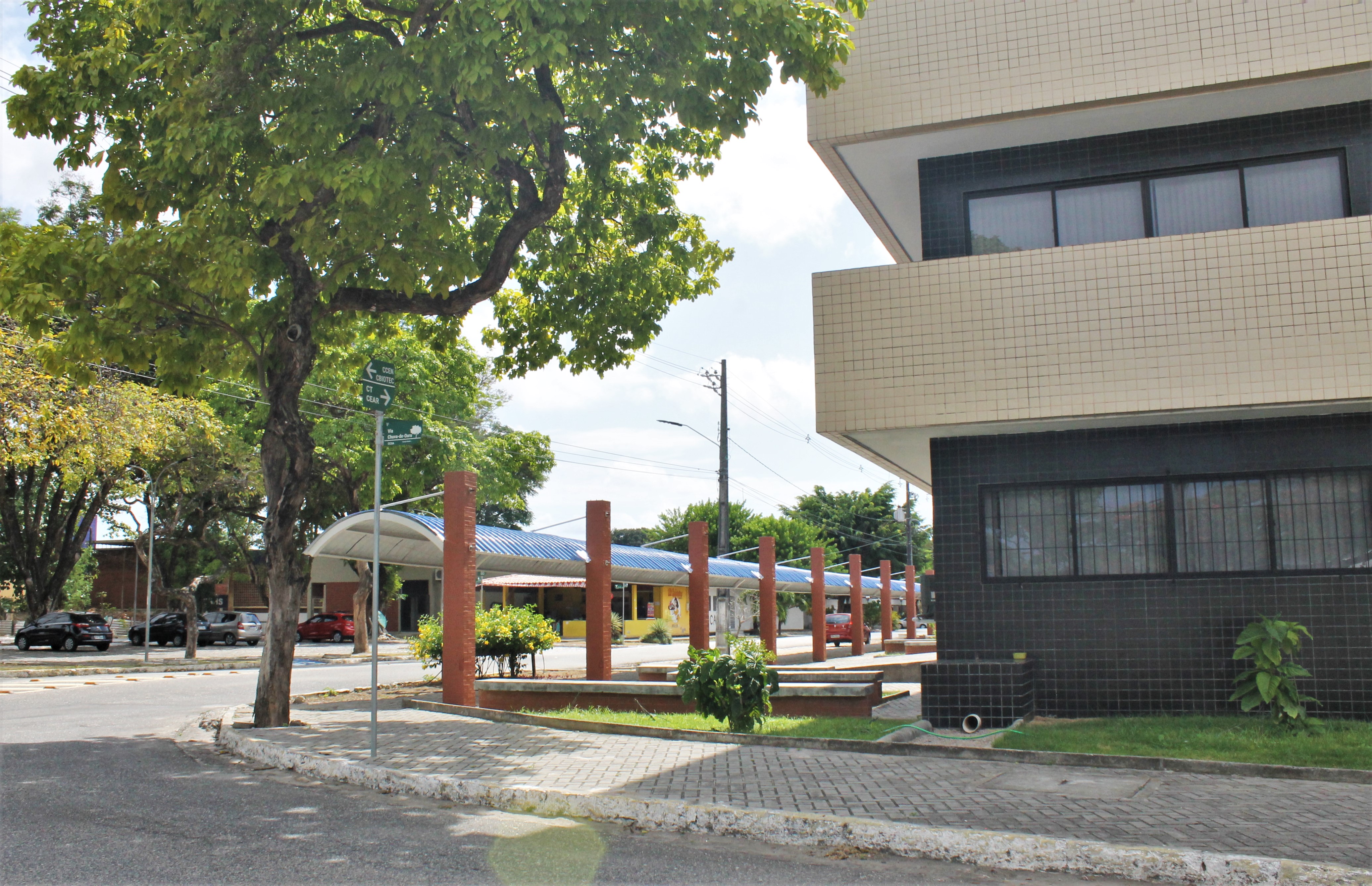 UFPB EM PARCERIA COM A UNIVERSIDADE DE VECHTA, DA ALEMANHA, PROMOVERÁ MINICURSO SOBRE A SOCIEDADE ALEMÃ Foto: Angélica Gouveia