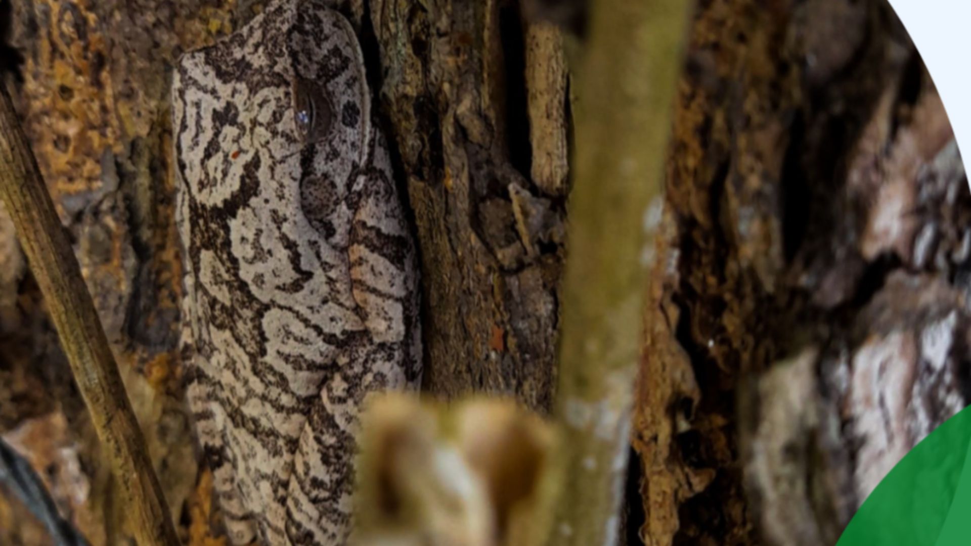 UFPB promove IX olimpíada do Meio Ambiente no Campus III UFPB promove IX olimpíada do Meio Ambiente no Campus III