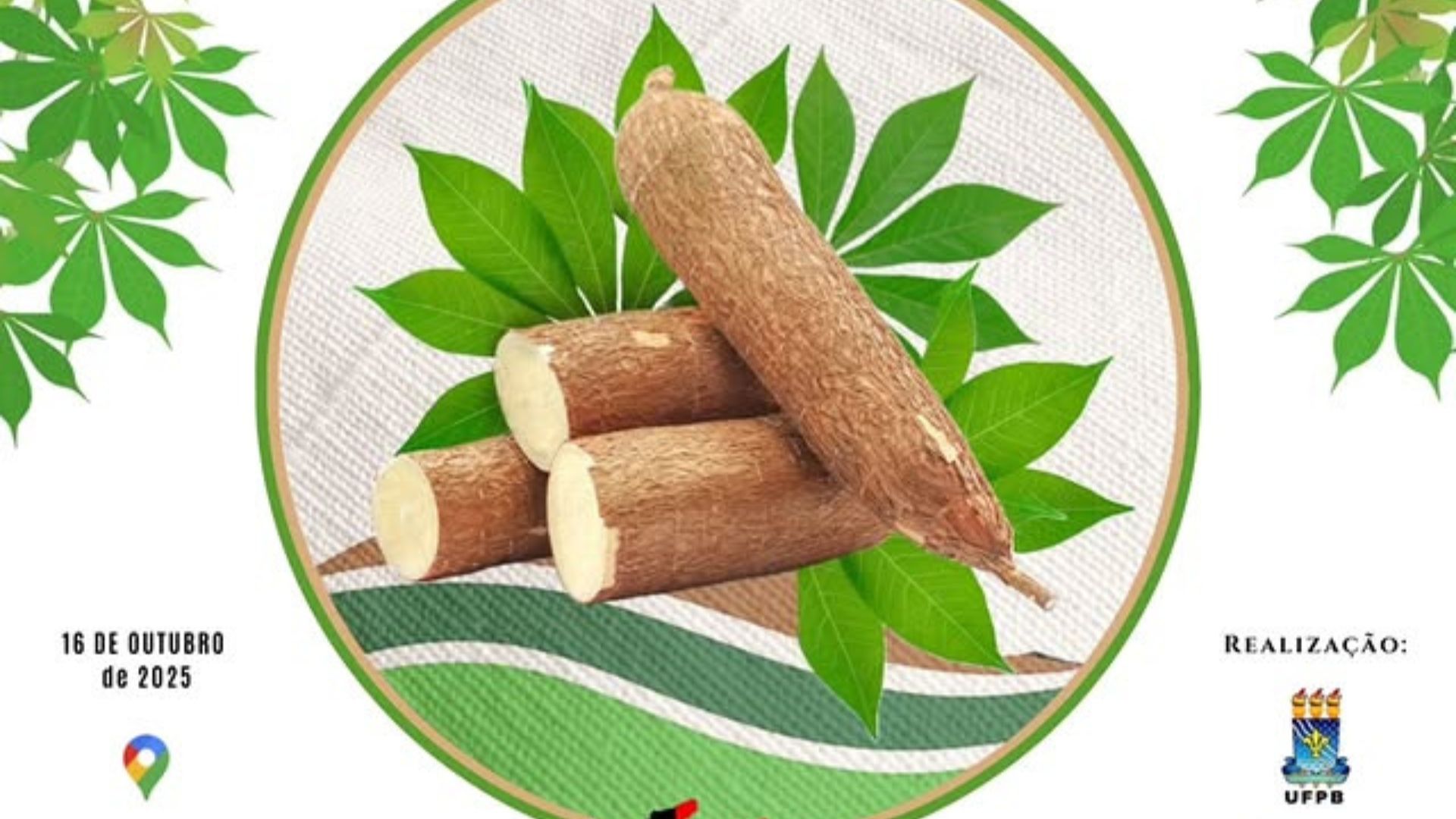 UFPB realiza no dia 16 de outubro Seminário Estadual de Mandiocultura