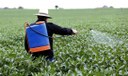 Pesquisador critica falta de investimentos na Paraíba e defende zoneamento agrícola no Estado. Crédito: Michel Filho-Agência O Globo/Reprodução